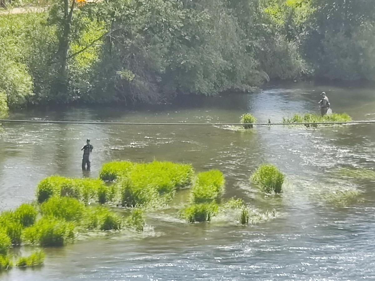 Mymara 19 Lägenhet Bešeňová Exteriör bild
